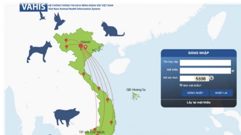 Chỉ mất 1 phút để tổng hợp, báo cáo dữ liệu dịch bệnh bằng VAHIS