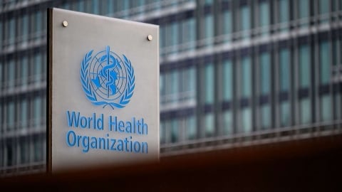 WHO xác nhận ca tử vong do cúm gia cầm H5N2 đầu tiên ở người