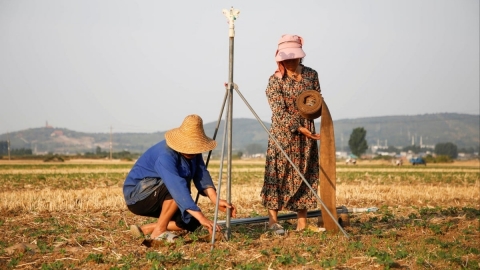 Nắng nóng kỷ lục và hạn hán đe dọa sản xuất nông nghiệp ở Trung Quốc