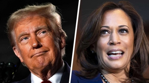 Ông Trump và bà Harris cạnh tranh quyết liệt ở Bắc Carolina