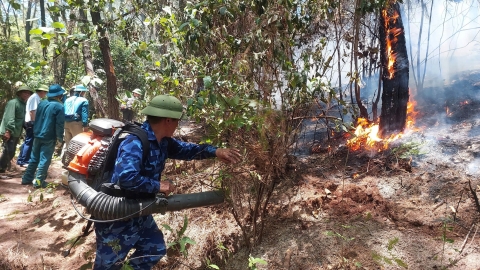 Lại cháy rừng Nghi Lộc