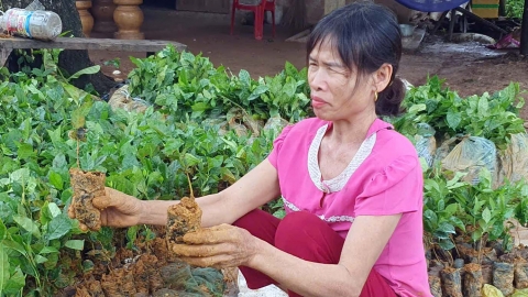 Họ thuê báo chí viết không đúng sự thật, hạ thấp danh dự công ty