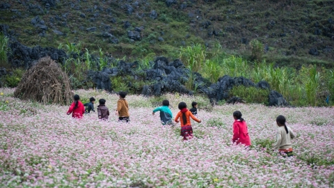 Phát động Giải thưởng Báo chí Tài nguyên và Môi trường lần thứ VII