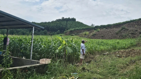 Xử lý sạt lở - câu chuyện nhìn từ Thanh Hóa: [Bài 2] Chống sạt lở, mũi tên trúng nhiều đích