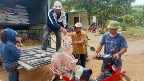 Sáng lên dưới những cánh rừng: [Bài 1] Nâng cao đời sống cho bà con vùng biên giới