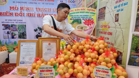 182 sản phẩm OCOP Sóc Trăng lên sàn thương mại điện tử