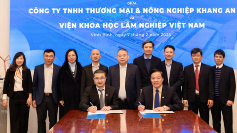 Xuân Thiện Group trồng rừng tại Angola để cung cấp nguyên liệu cho nhà máy thép