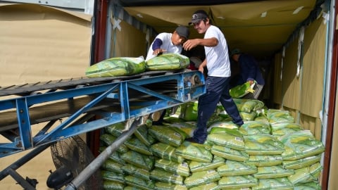 Việt Nam chi 670 triệu USD nhập khẩu gạo trong 6 tháng đầu năm