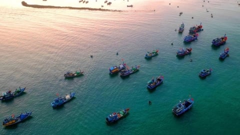 Phát triển bền vững ngành thủy sản: Giảm đánh bắt, tăng nuôi trồng