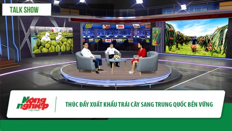 Làm gì để xuất khẩu trái cây sang Trung Quốc bền vững?