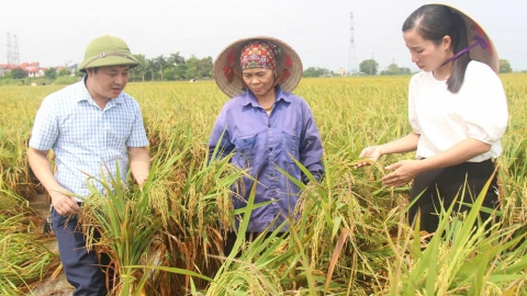 Tiếp tục đẩy mạnh sản xuất, khắc phục hậu quả mưa bão