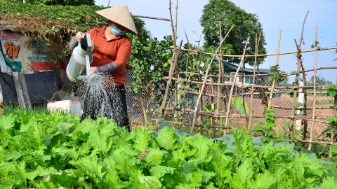 Những mô hình sáng tạo ở Hồng Dương