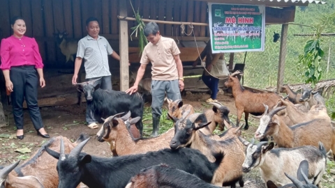 Tam Hợp thay da đổi thịt, sắc xuân tràn ngập vùng biên