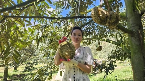 Lễ hội trái cây, cơ hội để Khánh Sơn kết nối tiêu thụ nông sản