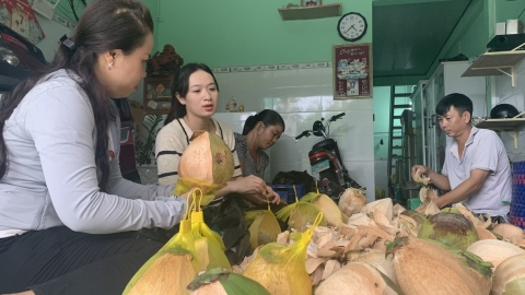 Khai mạc Festival 100 năm dừa sáp Trà Vinh