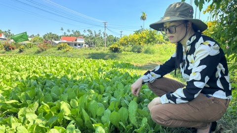 Nông dân làm du lịch: Rau xanh, đường sạch, du khách hồ hởi ra vườn