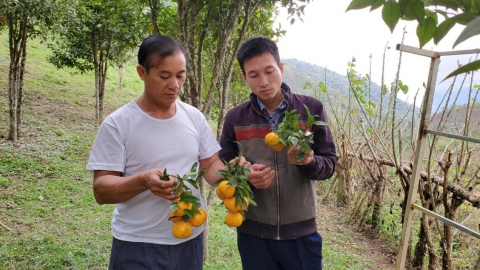 Dọc đường biên Mường Lát: [Bài cuối] Tìm lối thoát cho huyện nghèo nhất tỉnh