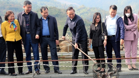 Thủy sản, chăn nuôi 'thổi hồn' cho những dư địa của nông nghiệp