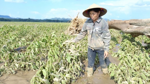 Cả làng năm nay đói rồi...