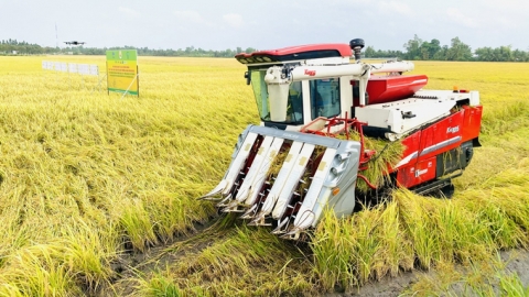 Giảm sử dụng nước trong canh tác lúa để giảm phát thải