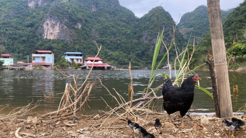 Nước, nguồn sống và nỗi lo: Khi ngập úng 'kéo lên' đô thị vùng cao