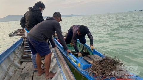 Tình trạng khai thác tận diệt thủy sản trên hồ Dầu Tiếng được kiểm soát