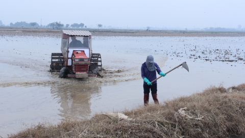 Kiểm tra công tác lấy nước gieo cấy vụ đông xuân