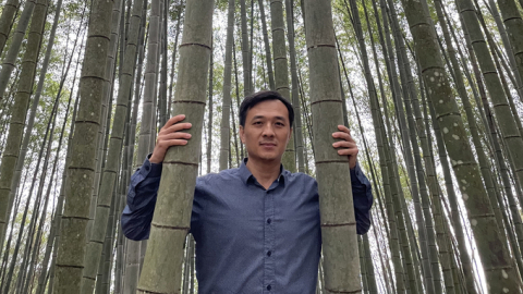 Finding Vietnamese bamboo in the modern flow