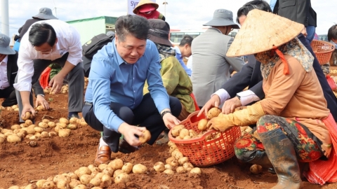 Liên kết nâng tầm rau củ quả