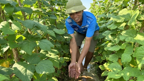 Phát triển nông nghiệp bền vững, an toàn trước thiên tai