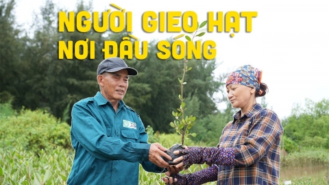 Người gieo hạt nơi đầu sóng