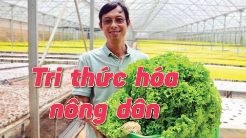 Tri thức hóa nông dân: [Bài 2] Trang trại trồng cây lơ lửng trên mặt đất