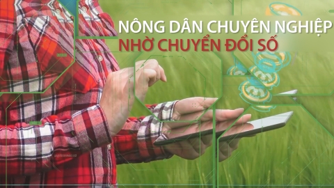 Nông dân chuyên nghiệp nhờ làm chủ không gian số