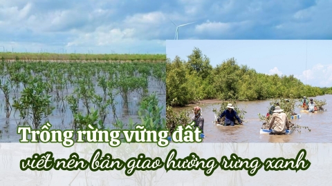 Trồng rừng vững đất - viết nên bản giao hưởng rừng xanh