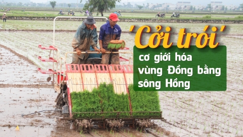 Cánh đồng lớn mở đường cho cơ giới hóa