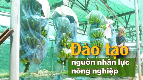 Mô hình 'trường trong farm, farm trong trường'