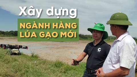 Xây dựng trang trại kỹ thuật số, đưa nông nghiệp lên đường cao tốc