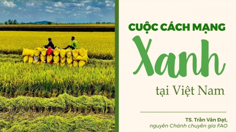 Cuộc Cách Mạng Xanh tại Việt Nam