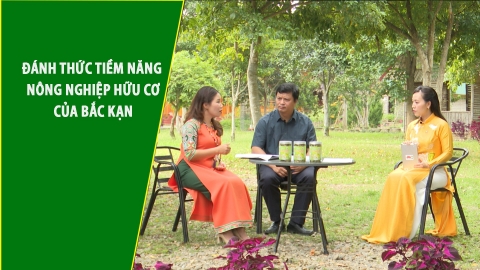 Đánh thức tiềm năng nông nghiệp hữu cơ của Bắc Kạn