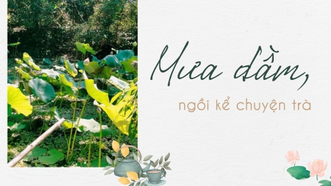 Mưa dầm, ngồi kể chuyện trà