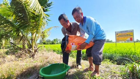 Đào tạo giảng viên nguồn tiếp cận kỹ thuật sử dụng phân bón đúng