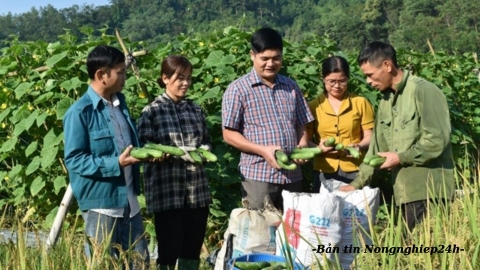 Kiện toàn hệ thống khuyến nông cơ sở theo mô hình tổ khuyến nông cộng đồng