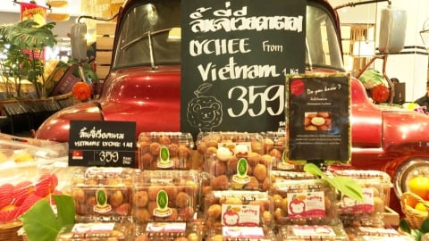 Vải thiều Lục Ngạn lên kệ ở chuỗi siêu thị Gourmet của Thái Lan