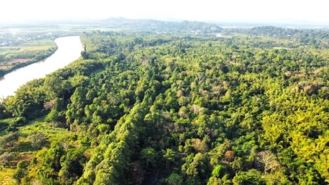 Vườn Quốc gia Cát Tiên chính thức đạt danh hiệu Danh lục Xanh IUCN