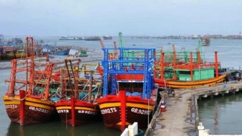 Quảng Bình cấp phép cho gần 600 tàu '3 không'