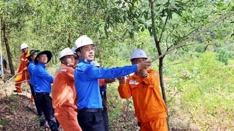 Thủ tướng: Xử lý dứt điểm vấn đề rừng thuộc dự án 500kV mạch 3