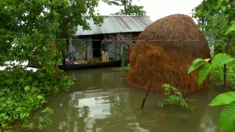 Hàng triệu người Ấn Độ, Bangladesh bị ảnh hưởng do mưa lớn, lũ lụt