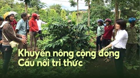 Hiệu ứng tích cực ở Gia Lai