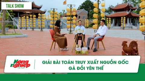 Giải bài toán truy xuất nguồn gốc gà đồi Yên Thế