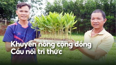 ‘3 đầu 6 tay’ cũng chẳng hết việc để làm